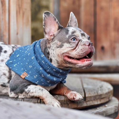 Musselin jeansblau Tuch